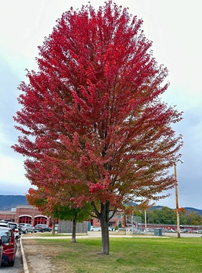 FallColorsofNewEngland