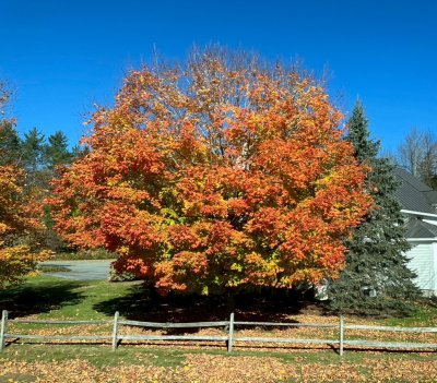 FallColorsofNewEngland