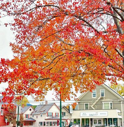 FallColorsofNewEngland