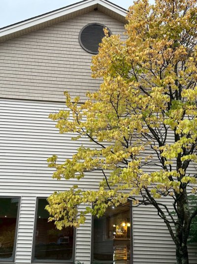 FallColorsofNewEngland