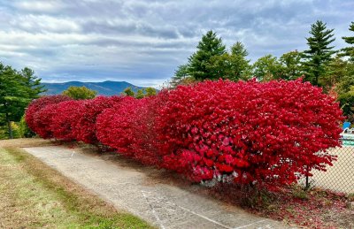 FallColorsofNewEngland