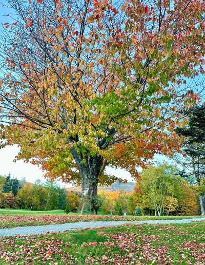 FallColorsofNewEngland