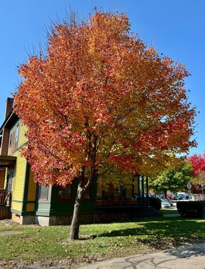 FallColorsofNewEngland