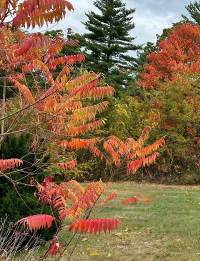 FallColorsofNewEngland