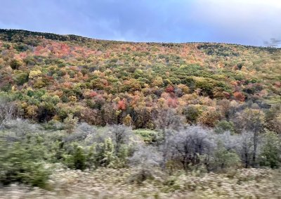 FallColorsofNewEngland