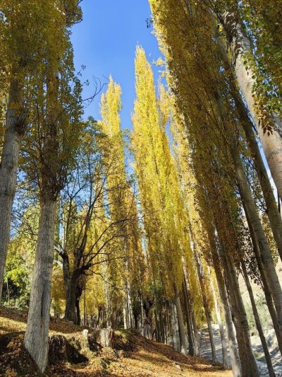 ปากีสถาน (Pakistan)