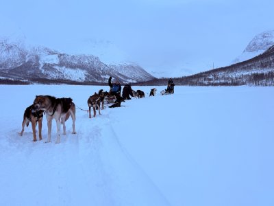 Norway Northern Lights Hunting 