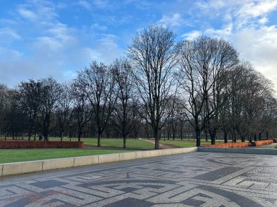 Norway Northern Lights Hunting 