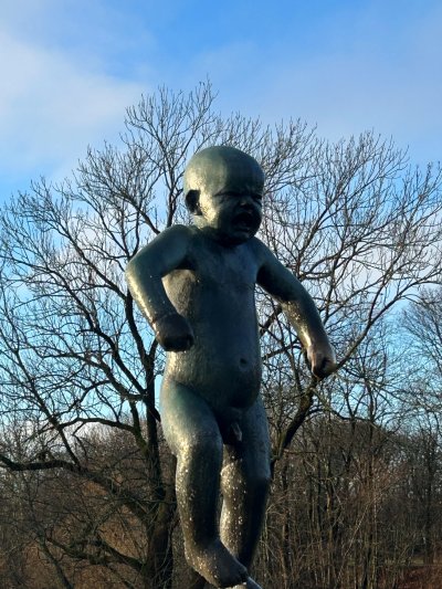 Norway Northern Lights Hunting 