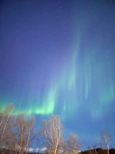 Norway Northern Lights Hunting 