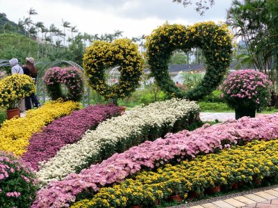 ไต้หวัน (Taiwan)
