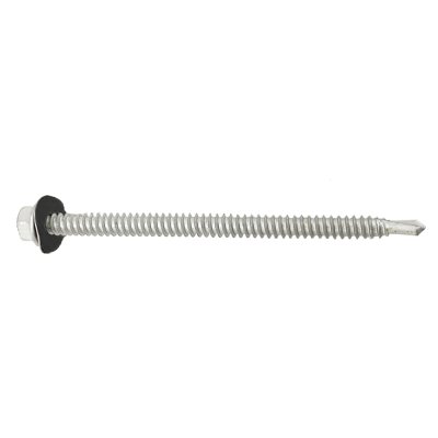 Steel Screw 100MM