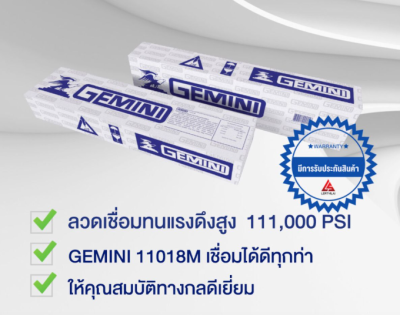ลวดเชื่อม GEMINI_11018_M
