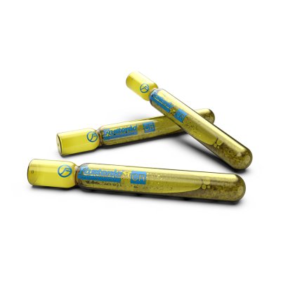 พุกเคมีแบบตอก FASTENIC M8 รุ่น CR-880
