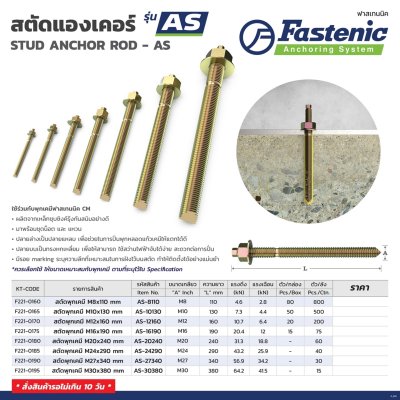 สตัดพุกเคมี FASTENIC ชุบซิงค์รุ้ง รุ่น AS M8X110MM-M30X380MM