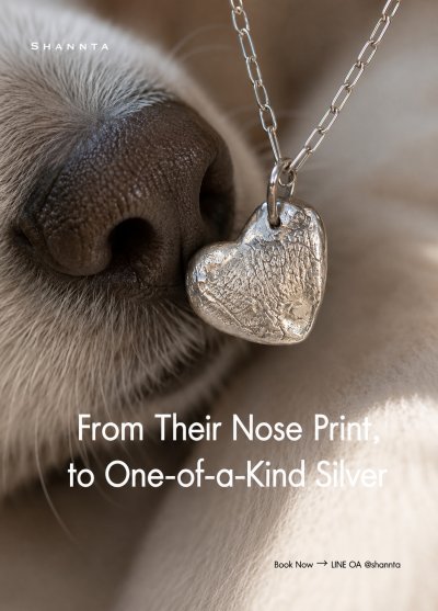 Heart-shaped fine silver pendant with dog nose print impression next to dog nose Shannta