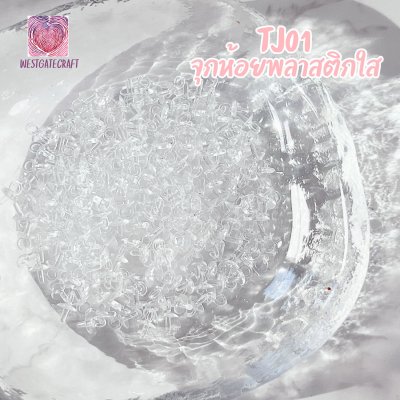 AP10 / Clear Plastic Eye Pin / 40 pieces