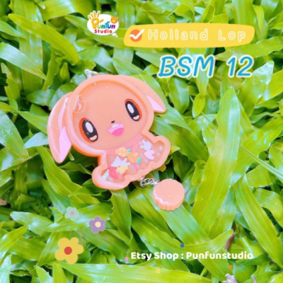  Holland Lop Mold / Full Body Shaker Mold