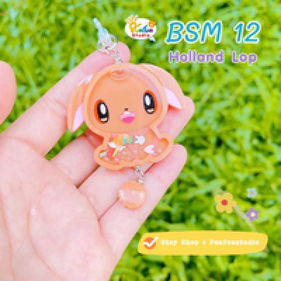  Holland Lop Mold / Full Body Shaker Mold