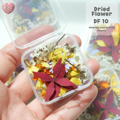 Natural Dried Flower Mix for Resin Art | Real 3D Flowers | DIY Craft Supplies | DF 10