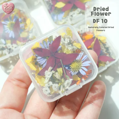 Natural Dried Flower Mix for Resin Art | Real 3D Flowers | DIY Craft Supplies | DF 10