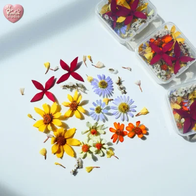 Natural Dried Flower Mix for Resin Art | Real 3D Flowers | DIY Craft Supplies | DF 10