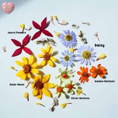 Natural Dried Flower Mix for Resin Art | Real 3D Flowers | DIY Craft Supplies | DF 10