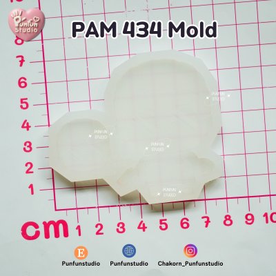 PAM 434 Sakamoto Mold / Painting Anime Mold / Silicone Mold