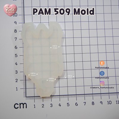 PAM 509, XTC 62 Spyro / Painting Anime Mold / Silicone Mold