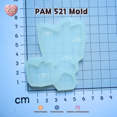 PAM 519-521 / Sonic Mold / Painting Anime Mold / Silicone Mold