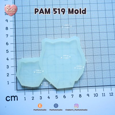 PAM 519-521 / Sonic Mold / Painting Anime Mold / Silicone Mold