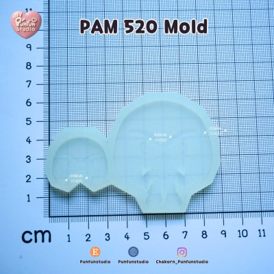 PAM 519-521 / Sonic Mold / Painting Anime Mold / Silicone Mold