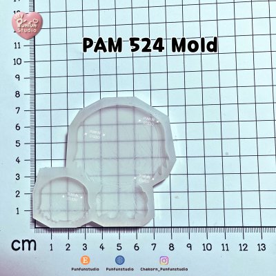 PAM 524 Zero Mold /  Painting Anime Mold / Silicone Mold