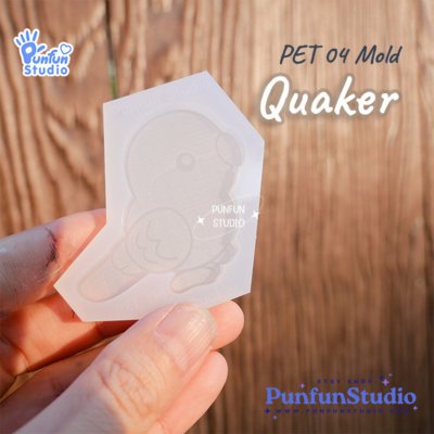PET 04+3 Quaker Mold Set / PET 04, 04/2, 04/3, 04/4 / Set 4 Molds / Pet Mold / Parrot Mold / Silicone Mold