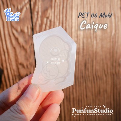PET 06+3 Caique Mold Set / PET 06, 06/2, 06/3, 06/4 / Set 4 Molds / Pet Mold / Parrot Mold / Silicone Mold