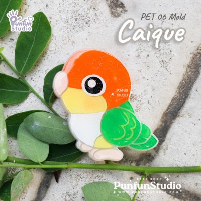 PET 06+3 Caique Mold Set / PET 06, 06/2, 06/3, 06/4 / Set 4 Molds / Pet Mold / Parrot Mold / Silicone Mold