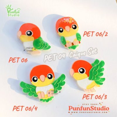 PET 06+3 Caique Mold Set / PET 06, 06/2, 06/3, 06/4 / Set 4 Molds / Pet Mold / Parrot Mold / Silicone Mold
