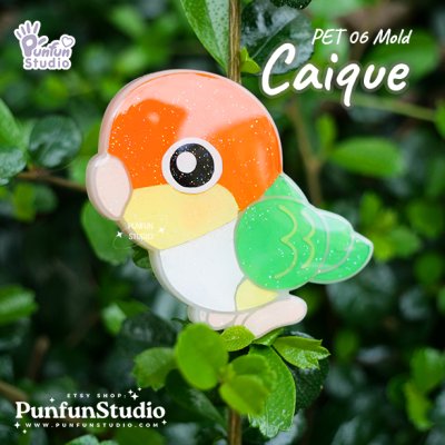 PET 01, 02, 03, 04, 05, 06, 07, 08, 09, 10 Parrot Mold / Parrot Mold / Silicone Mold