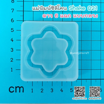 S021 6 Pointed Sparkle Shaker Mold A , CSM S021 / Shaker Mold / Cover Sheet Mold / Silicone Mold