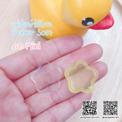 S067 Mini Star Shaker Mold 