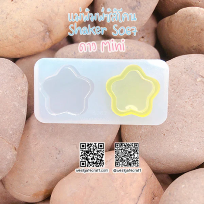 S067 Mini Star Shaker Mold 