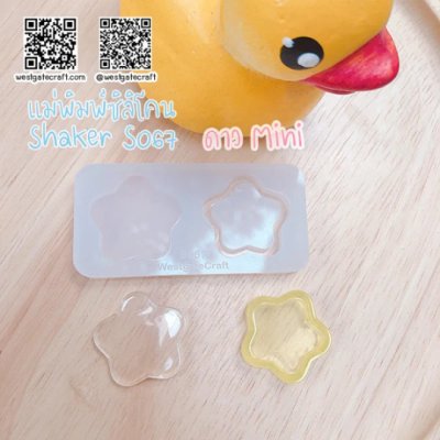 S063-S070 Mini Shaker Mold Set / Mini Shaker Mold + CSM in Itself / Silicone Mold