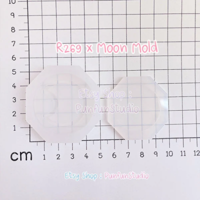 R269 X Moon Shaker Mold + Free CSM / Phone Grip Shaker Mold / Silicone Mold