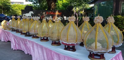 งานมงคลสมรส คุณมาริษา & คุณอนันต์ (4.5.62)