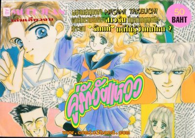 คู่รักวัยแหวว (จบ) PDF