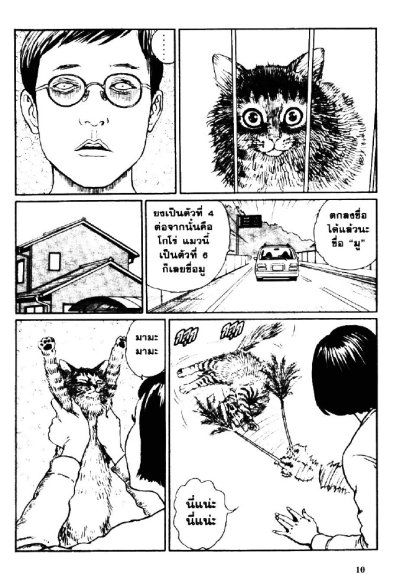 บันทึกน้องเหมียวของจุนจิ อิโต้ YON&MU (จบ) PDF