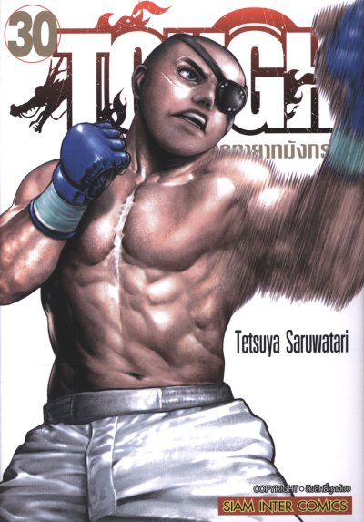 Tough ภาคทายาทมังกร เล่ม 1-32