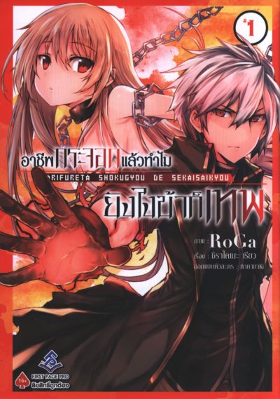 อาชีพกระจอกแล้วทำไมยังไงข้าก็เทพ เล่ม 1-8