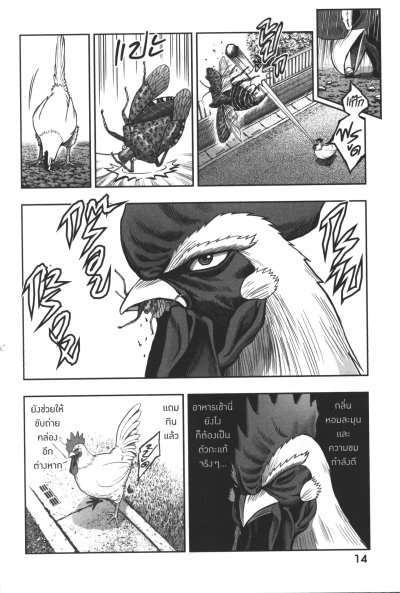 ยอดไก่นักสู้กู้โลก เล่ม 1-5