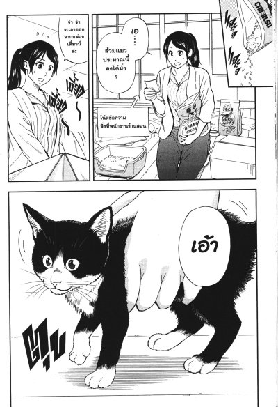 เมื่อคุณเกมเมอร์เผลอใจเป็นทาสแมว เล่ม 1-8 (จบ)